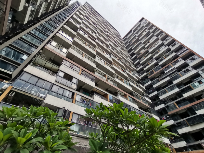 深圳阳光里雅居小区信息图片8