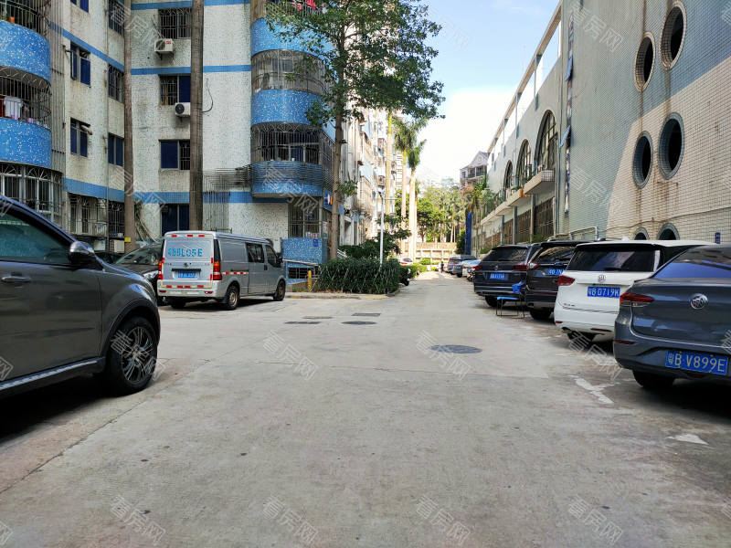 深圳国展苑小区信息图片6