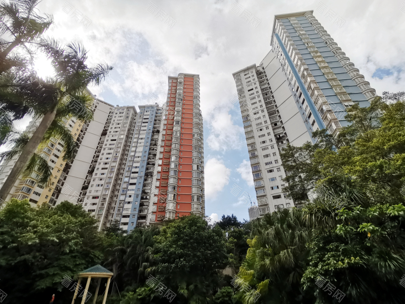 深圳世纪村三期小区信息图片8