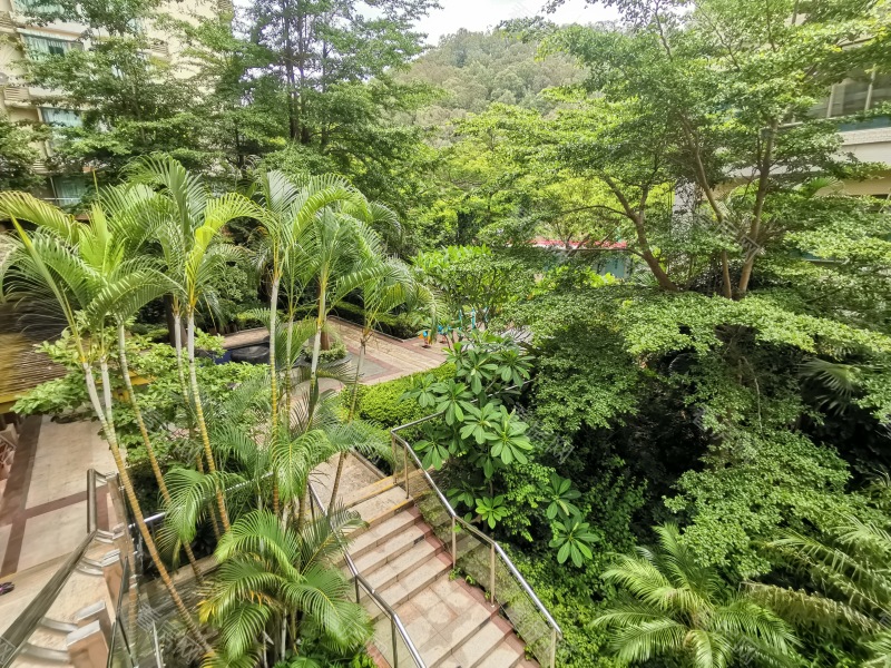 深圳合正锦园南区小区信息图片7