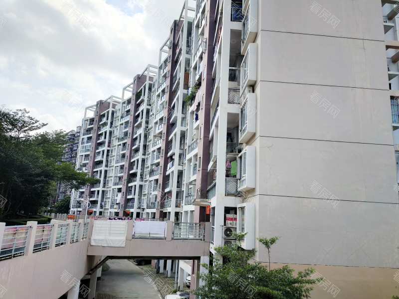 深圳百合星城二期小区信息图片1