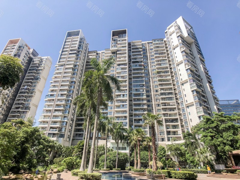 深圳泰华阳光海小区信息图片11