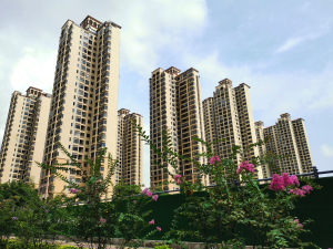 惠州东岸丽都花园小区信息图片