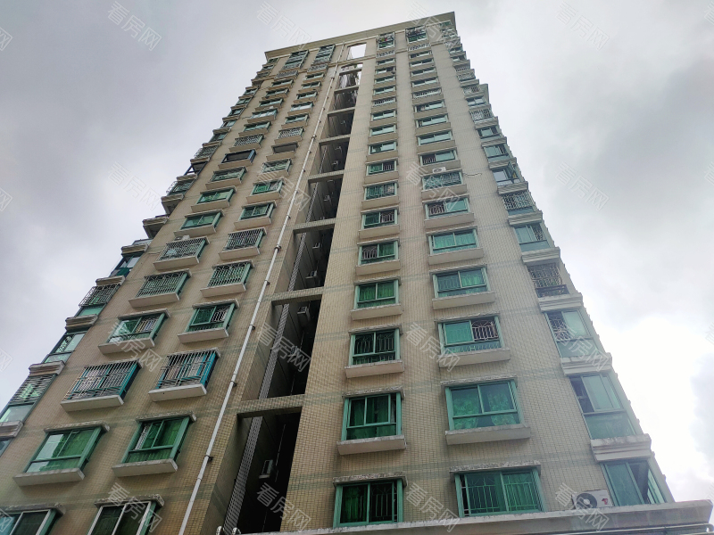 深圳聚福花园二期小区信息图片13