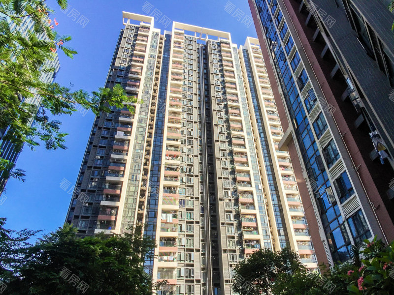 深圳中熙香缤山小区信息图片48