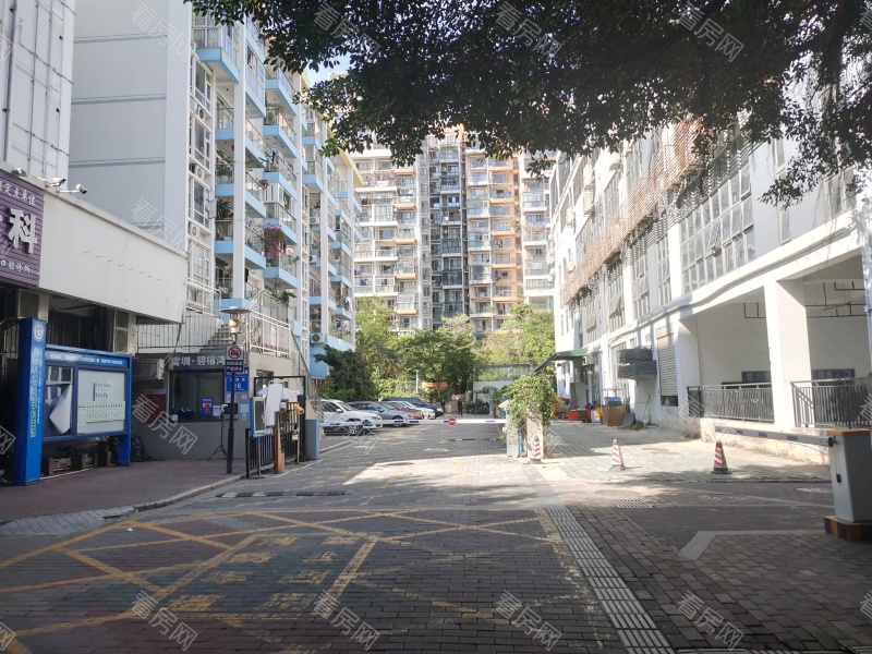 深圳雷圳0755小区信息图片2