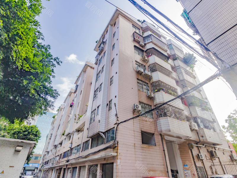 佛山珠江小区小区信息图片13