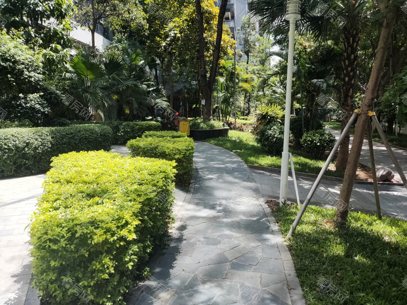 深圳纯海岸雅居小区信息图片4