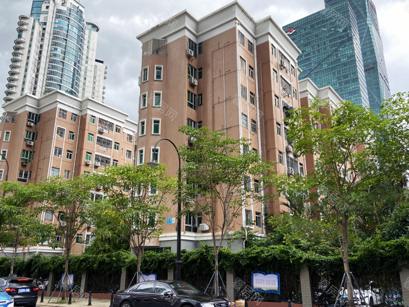 深圳辛诚花园小区信息图片12