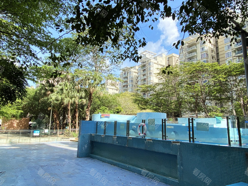 深圳科苑学里小区信息图片7