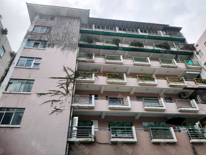 深圳翠怡苑小区信息图片10