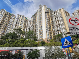 深圳桂芳园六期小区信息图片