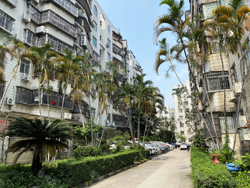 深圳德兴花园南区小区信息图片8