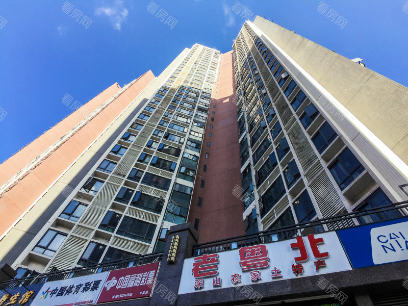 深圳中熙香缤山小区信息图片47