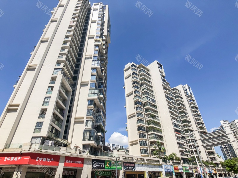 深圳泰华阳光海小区信息图片10