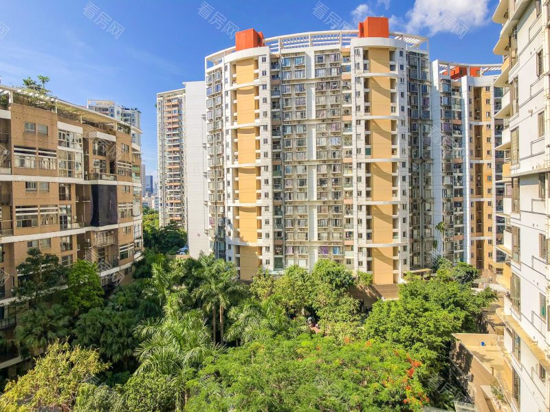 深圳深业新岸线一期小区信息图片12