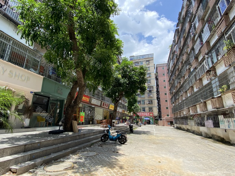 深圳鹏基公寓小区信息图片5