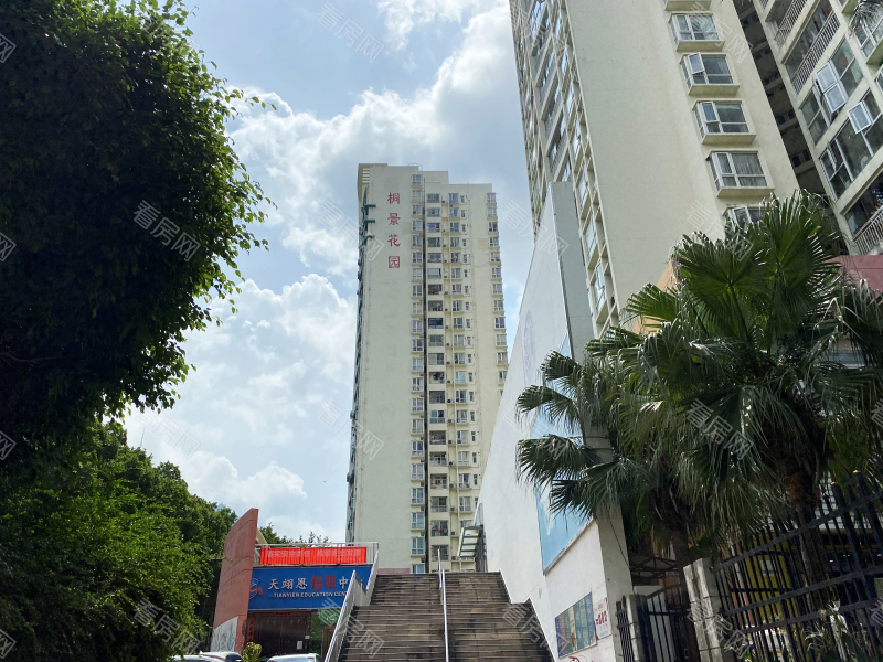深圳桐景花园小区信息图片6