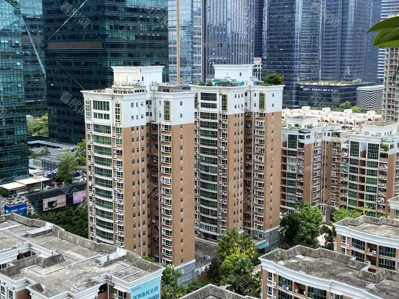 深圳辛诚花园小区信息图片10