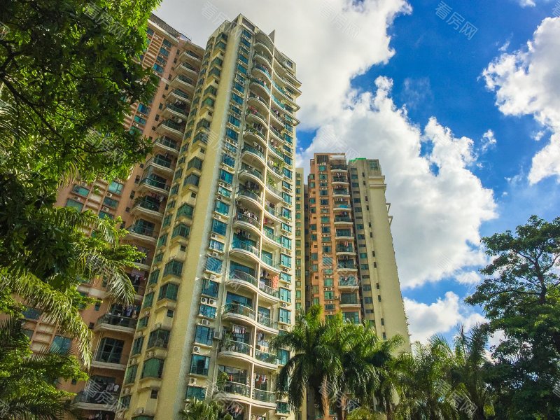 深圳丽景城小区信息图片14