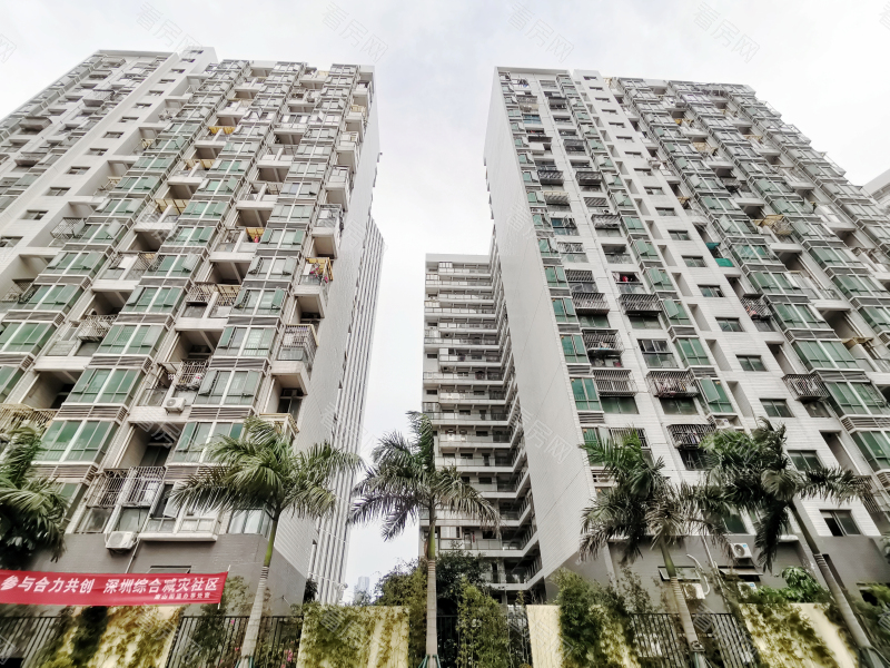 深圳南荔苑小区信息图片7