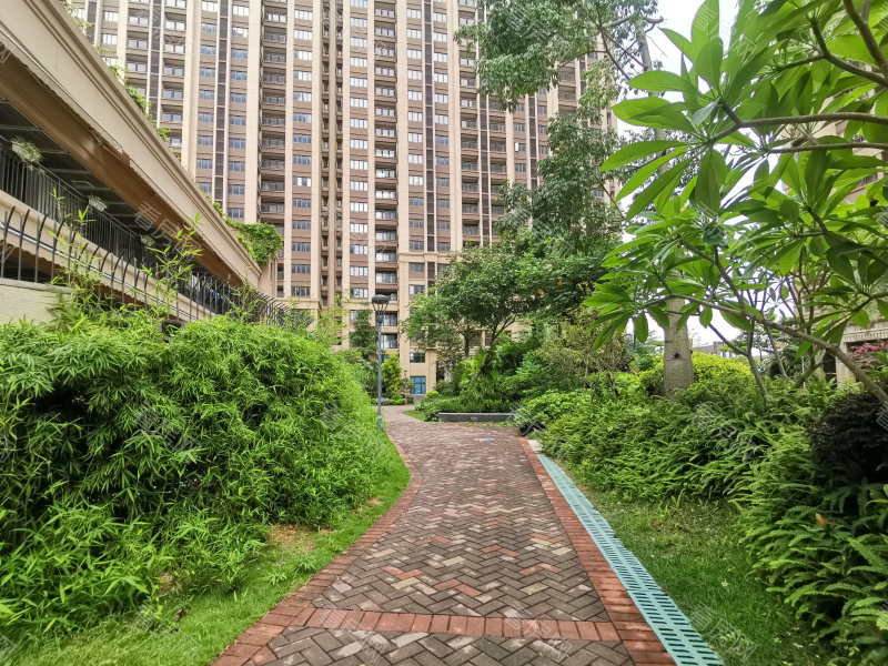 深圳力高君御花园小区信息图片4