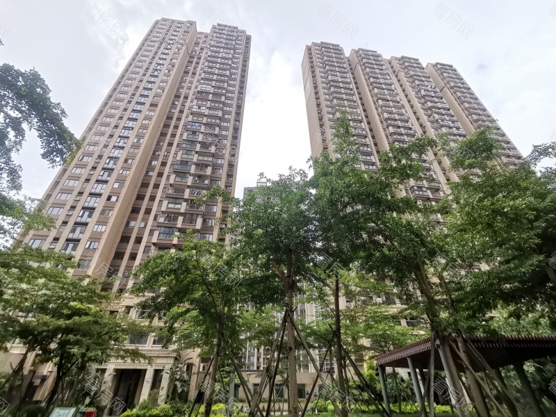 深圳力高君御花园小区信息图片9