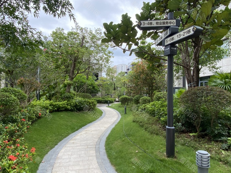 深圳金众云山栖小区信息图片5