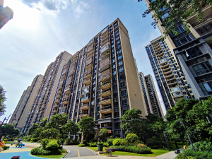 佛山碧桂园华府(顺德)小区信息图片