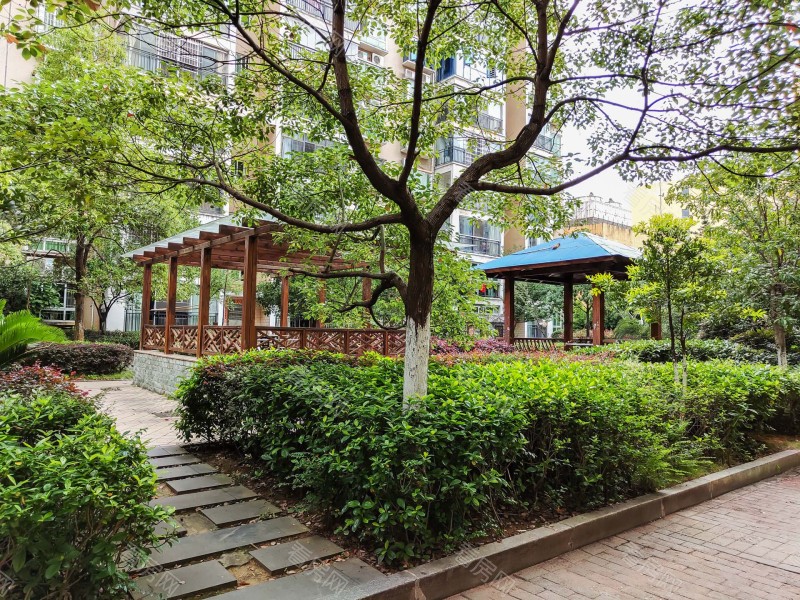 衡阳明珠花园小区信息图片8