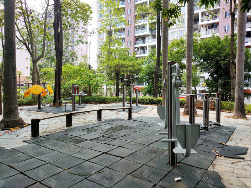 深圳百合星城二期小区信息图片3