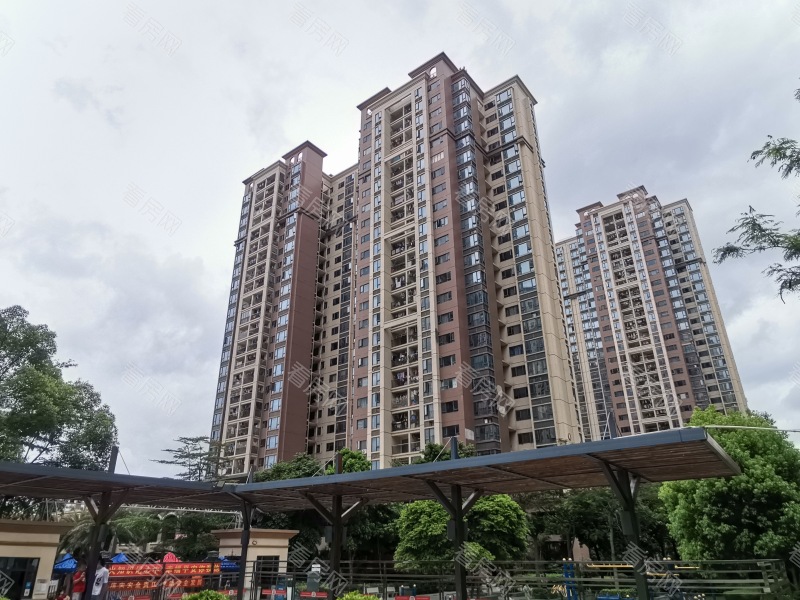 深圳东城国际小区信息图片13