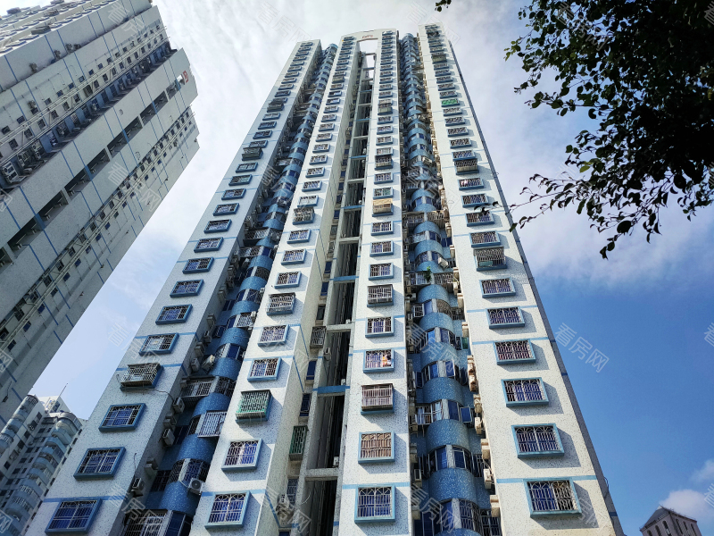 深圳国展苑小区信息图片8