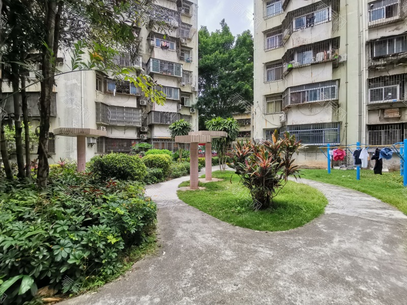 深圳康乐园小区信息图片5