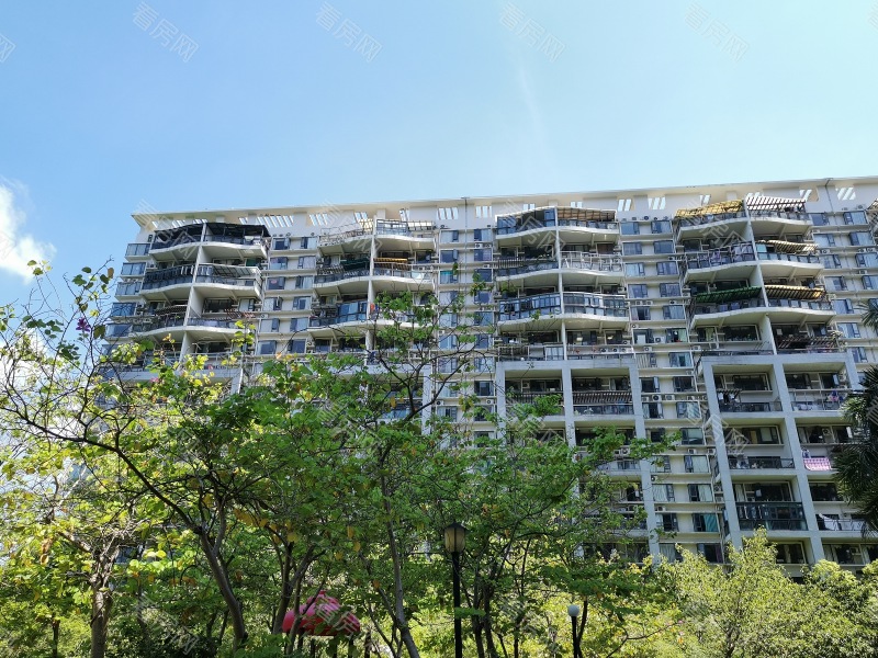 深圳鼎太风华五期小区信息图片1