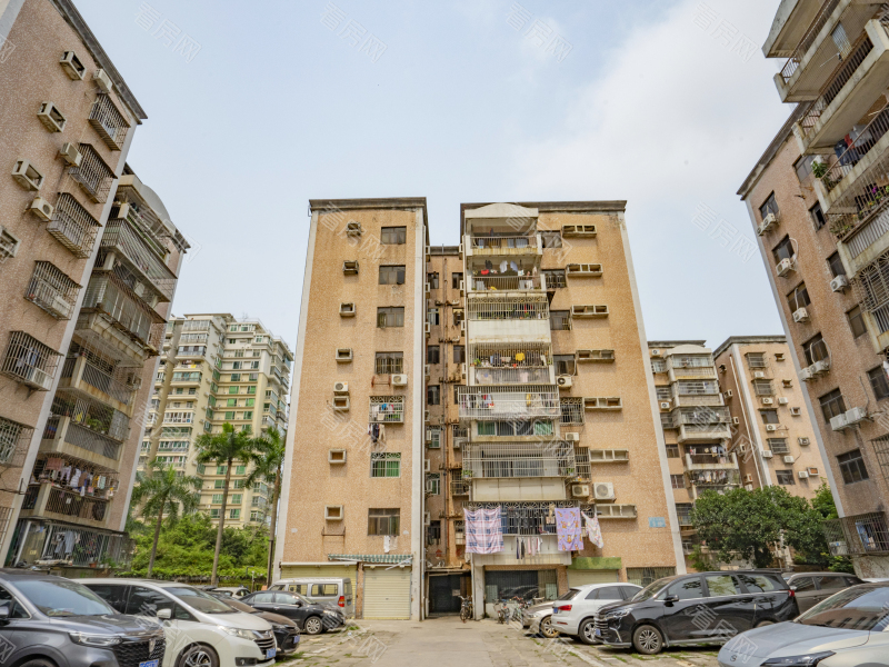 珠海金丰苑小区信息图片3