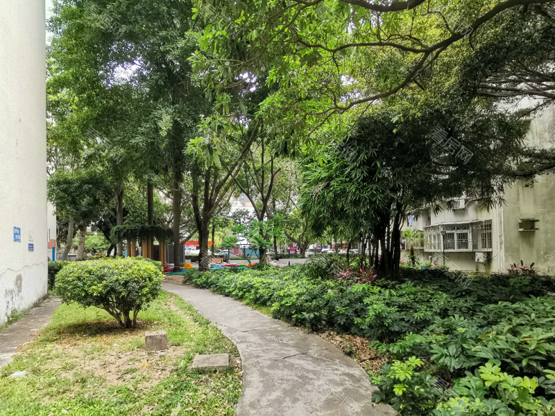 深圳康乐园小区信息图片6