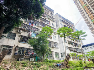 深圳惠中家属楼小区信息图片