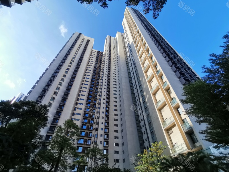 深圳半岛城邦二期小区信息图片10