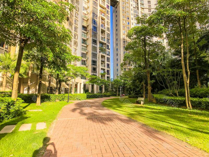 深圳金泓凯旋城一期小区信息图片5