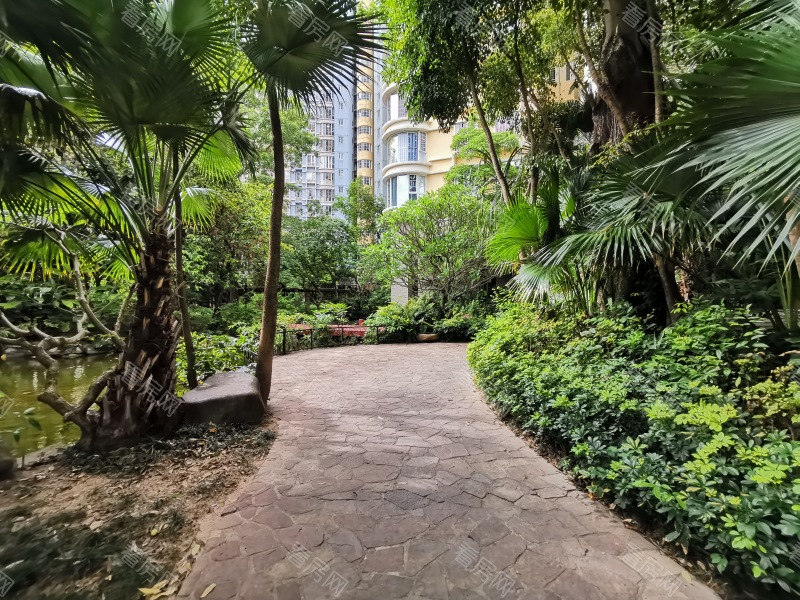 深圳世纪村三期小区信息图片3