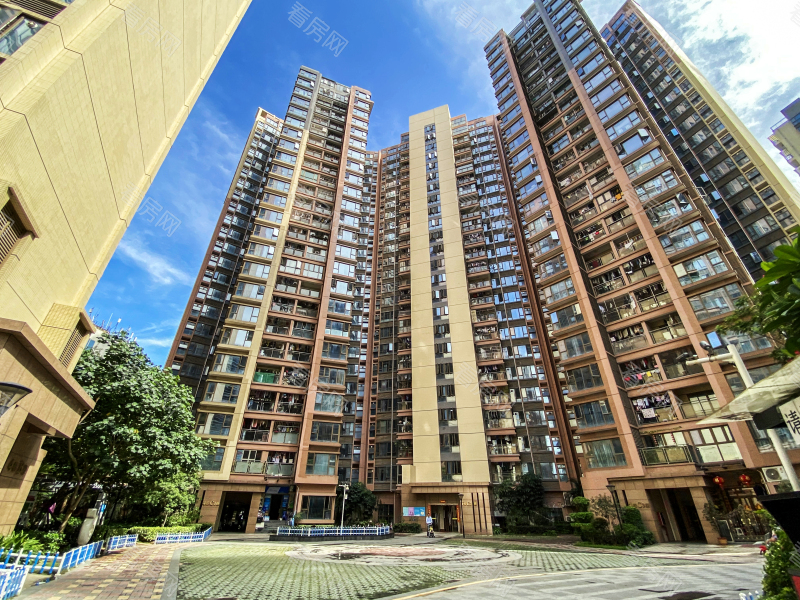 深圳同和悦园小区信息图片9