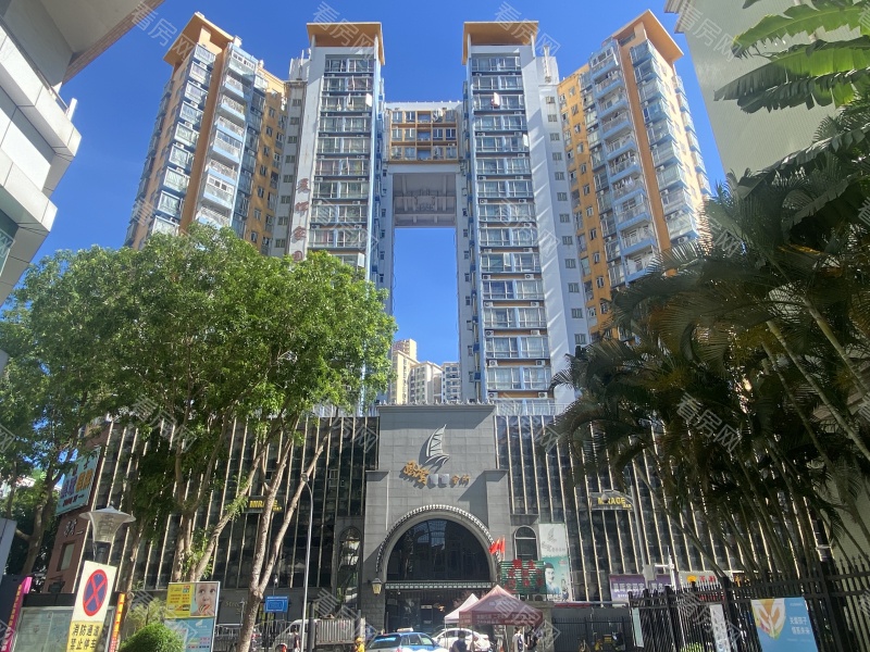 福田区  晨晖家园2座14M法拍房图片7