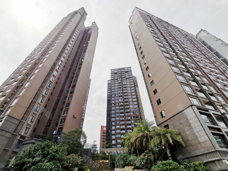 深圳中熙君南山小区信息图片1