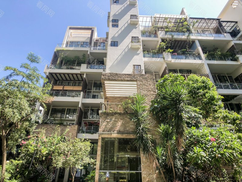 深圳泰华阳光海小区信息图片13