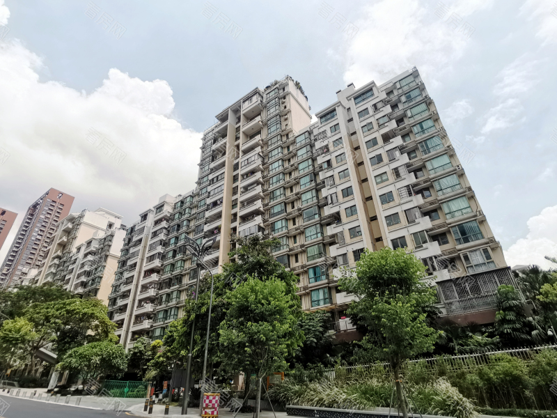 深圳合正锦园南区小区信息图片2