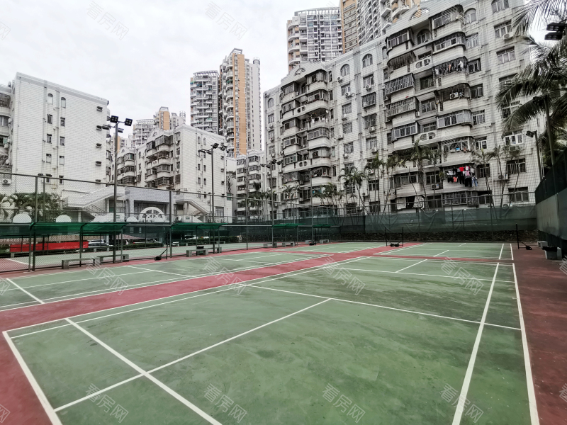 深圳德兴花园北区小区信息图片9