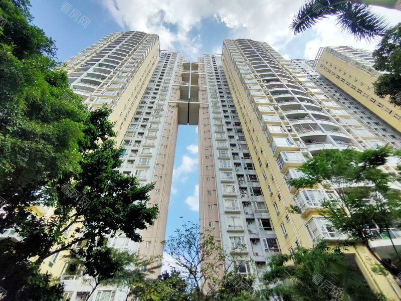 深圳百合星城二期小区信息图片6