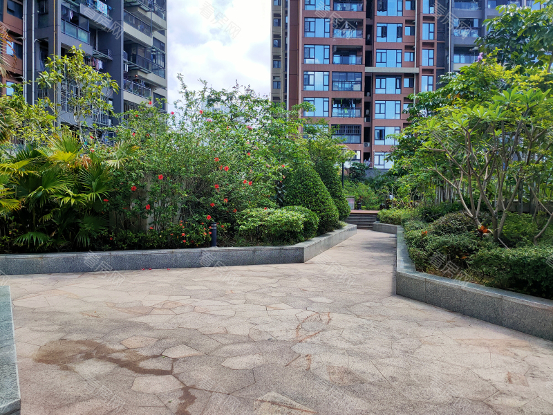 深圳海心汇福园小区信息图片3