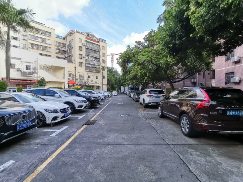 深圳太子山庄小区信息图片5